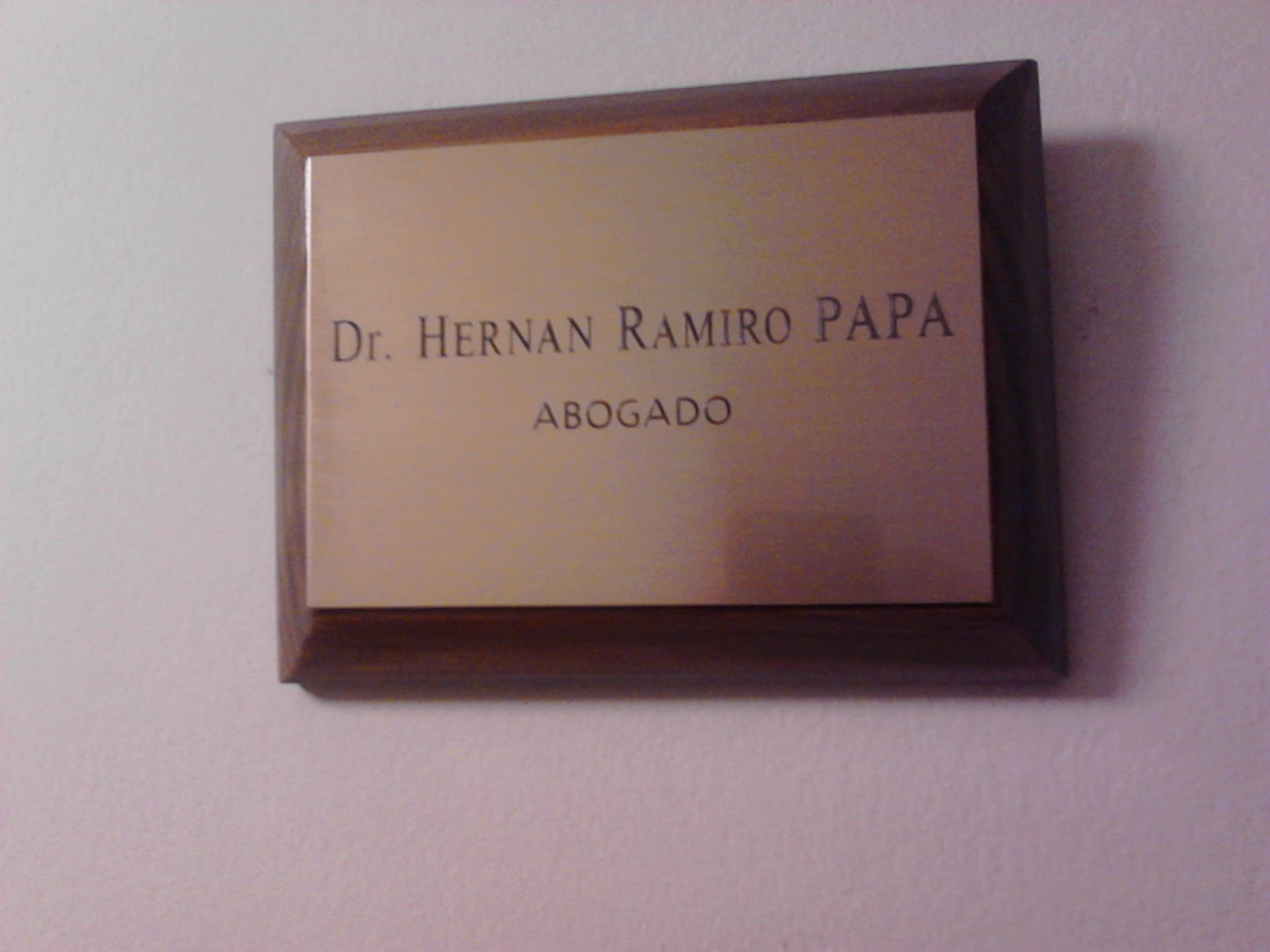 cargar Foto