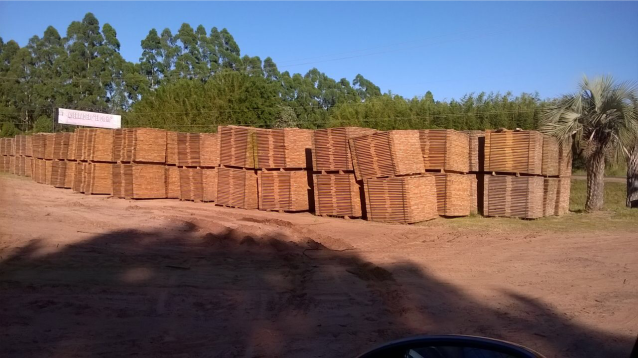 cargar Foto