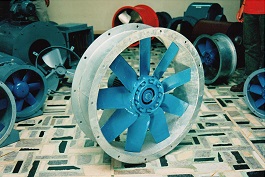 cargar Foto