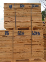 cargar Foto